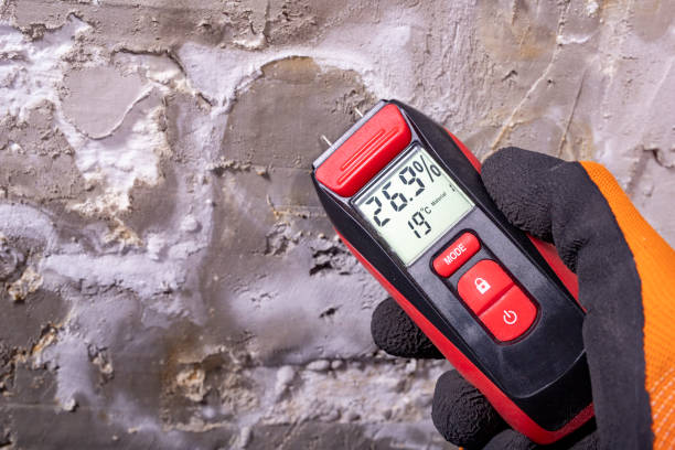 Best Kitchen Mold Remediation in Chilhowie, VA