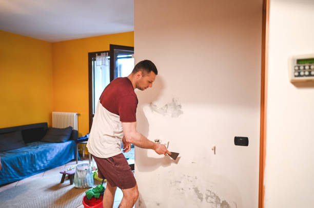 Reliable Chilhowie, VA Mold Remediation Solutions